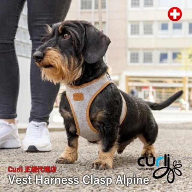 スイスデザイン【Curli】【カーリー】 秋冬フェルトベストハーネス・クラスプ・アルパイン【CLASP/ALPINE】
