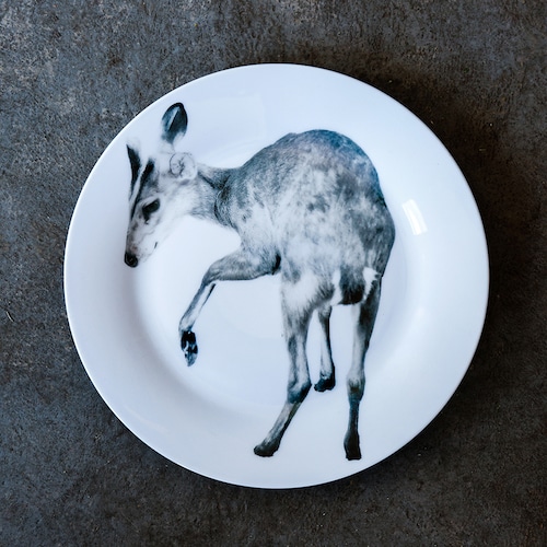 動物たちの飾るお皿  「小鹿」
