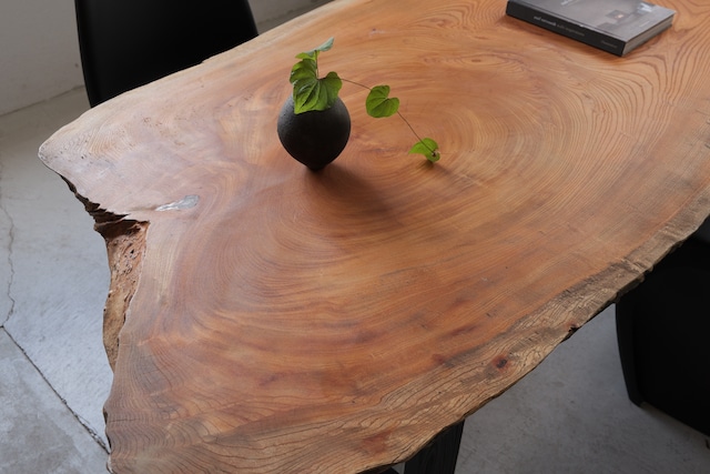 欅 Japanese Zelkova