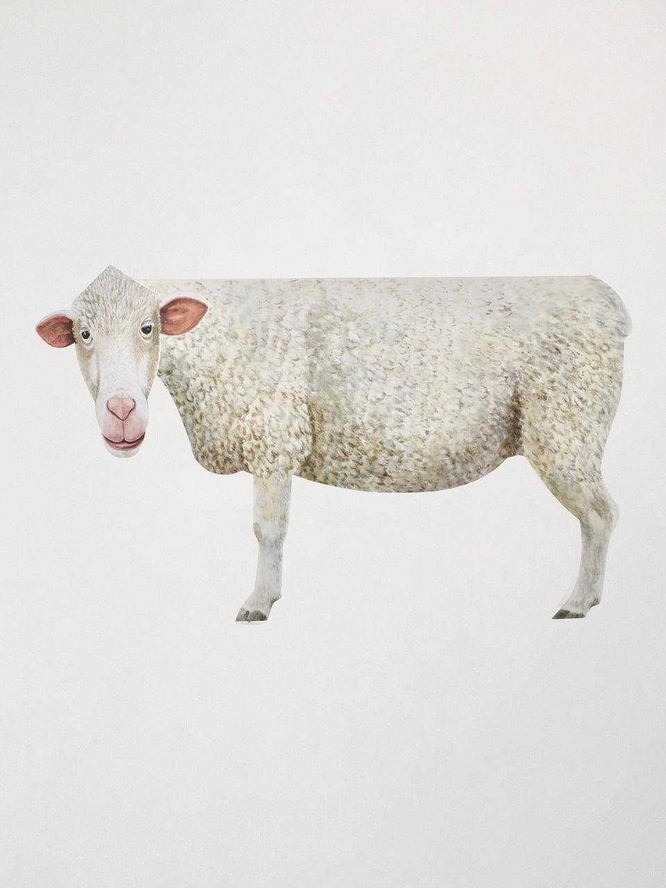 SALE】3D 立体グリーティングカード 「羊」 / 3D Animal Folding Card