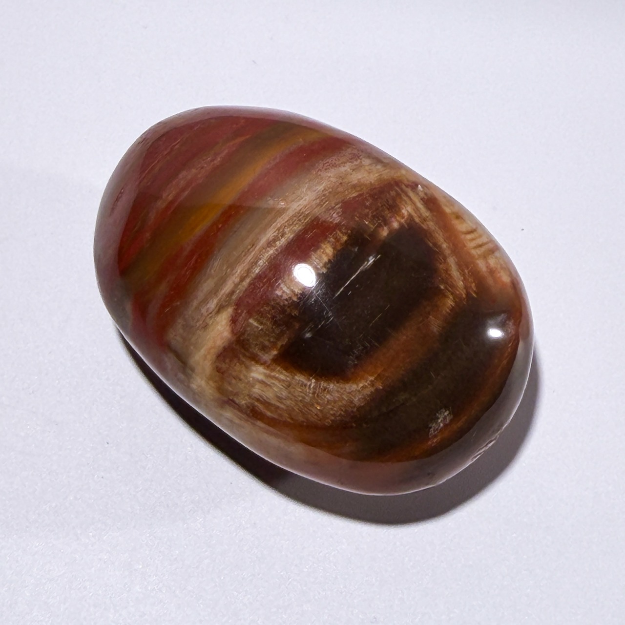 ペトリファイドウッド01 パーム ＊ Petrified Wood ＊ 天然石