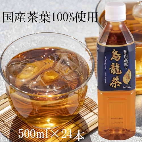 胎内高原の烏龍茶 500ml（1箱：24本入）