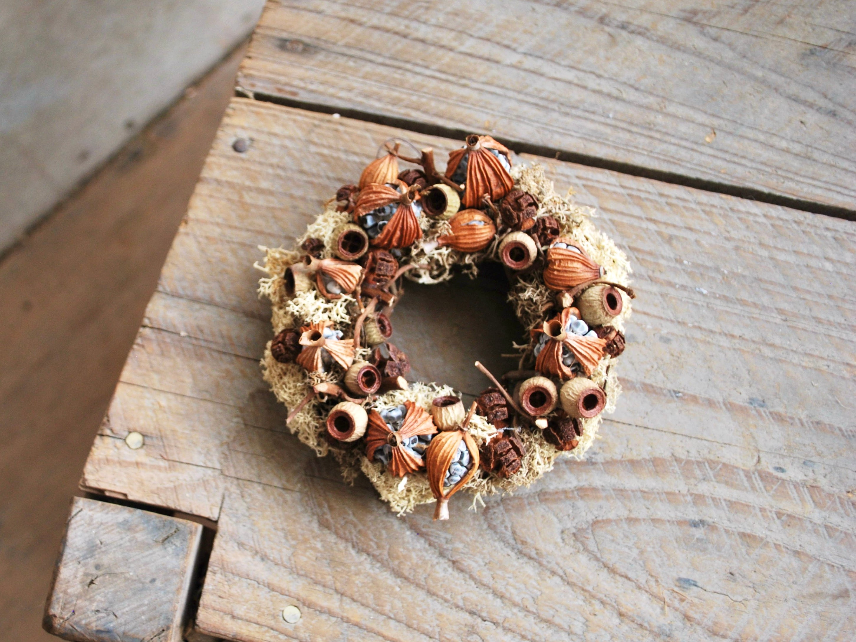 ten.：donut.wreath アンバーキャラメル・月桃の実/ドライミニリース | H:DAYFLOWERS ｜創造花と乾燥植物 powered  by BASE