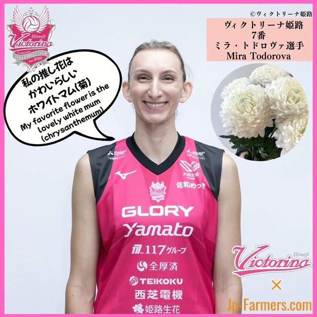 【ヴィクトリーナ姫路応援企画】ブーケを贈って応援しよう　ミラ・トドロヴァ選手（Mira Todorova）のラブフラワーは真っ白のマム（菊）Her favorite flower is the pure white mum (chrysanthemum).