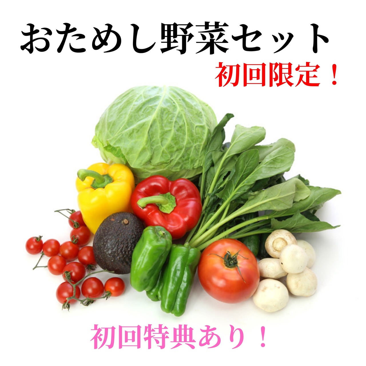 おためし野菜セット(初回限定)