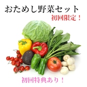 おためし野菜セット(初回限定)