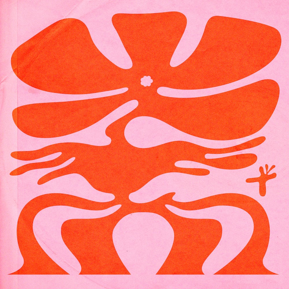 Numcha &frasl; Bloom | HOLIDAY! RECORDS DISTRO powered by BASE