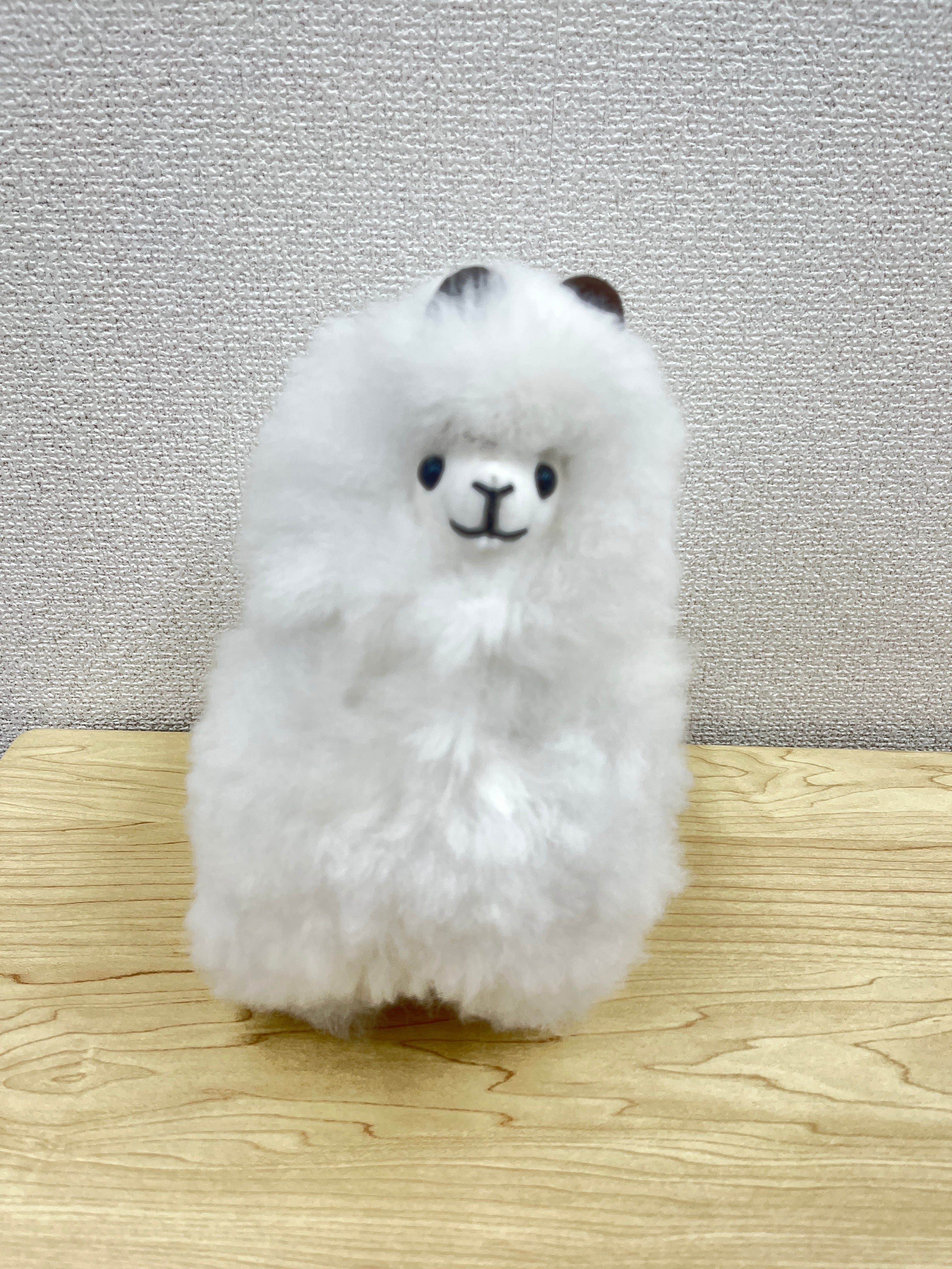 MAI様専用☆ mai様 専用 mai mai専用 柑奈さま専用 maimai でらっくす PRiSM mai様専用