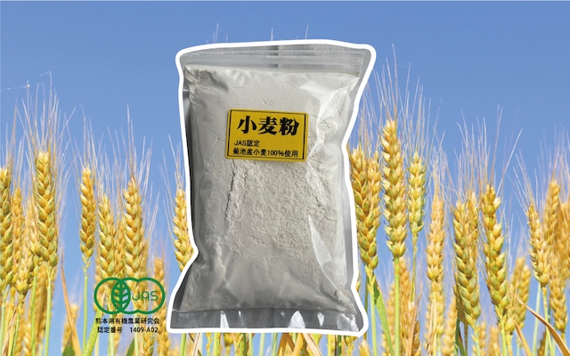 強力粉　500g