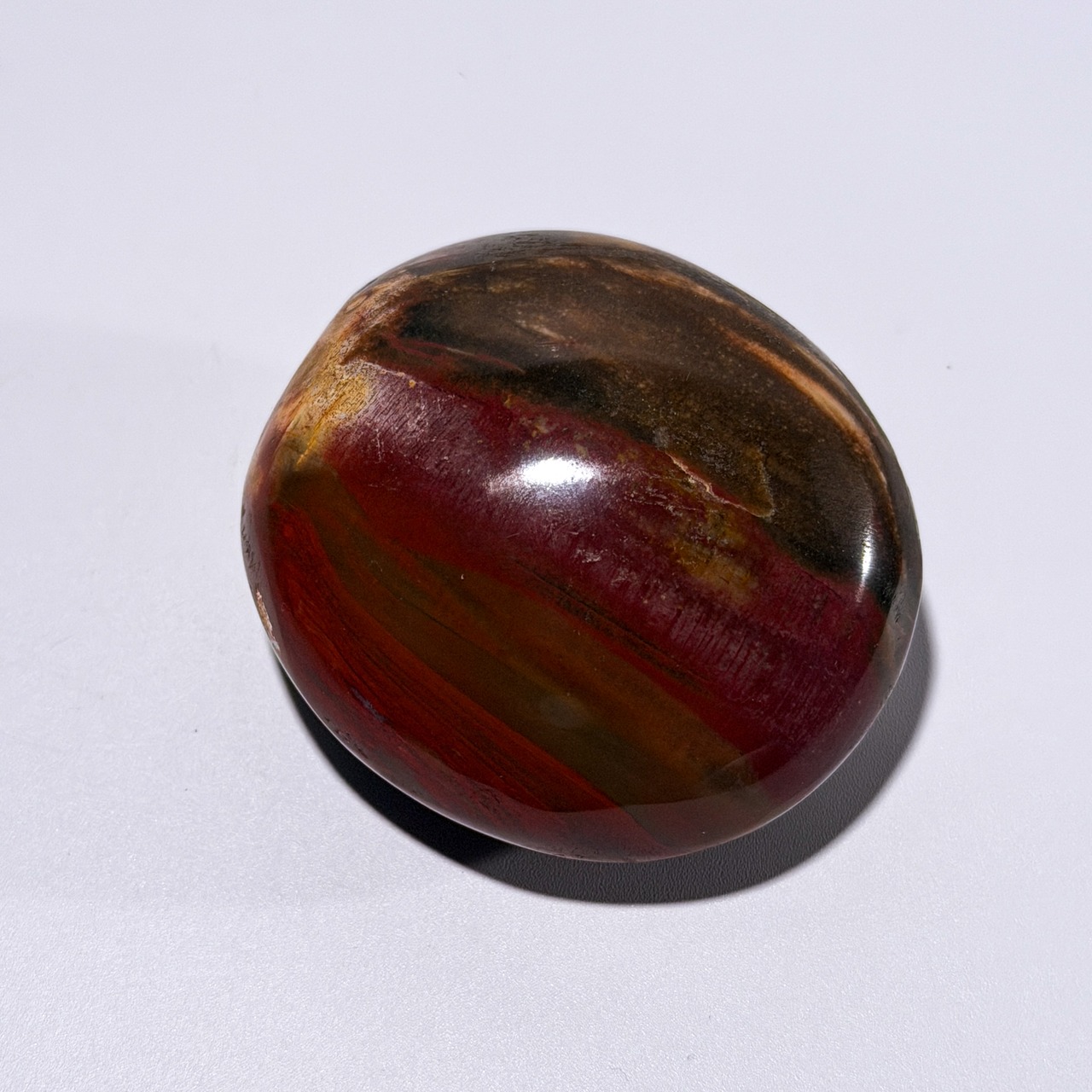 ペトリファイドウッド02 パーム ＊ Petrified Wood ＊ 天然石