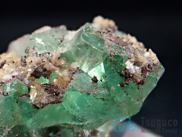 パイロモルファイト 緑鉛鉱 イギリス TM-615 Ex. G. Cotter Collection