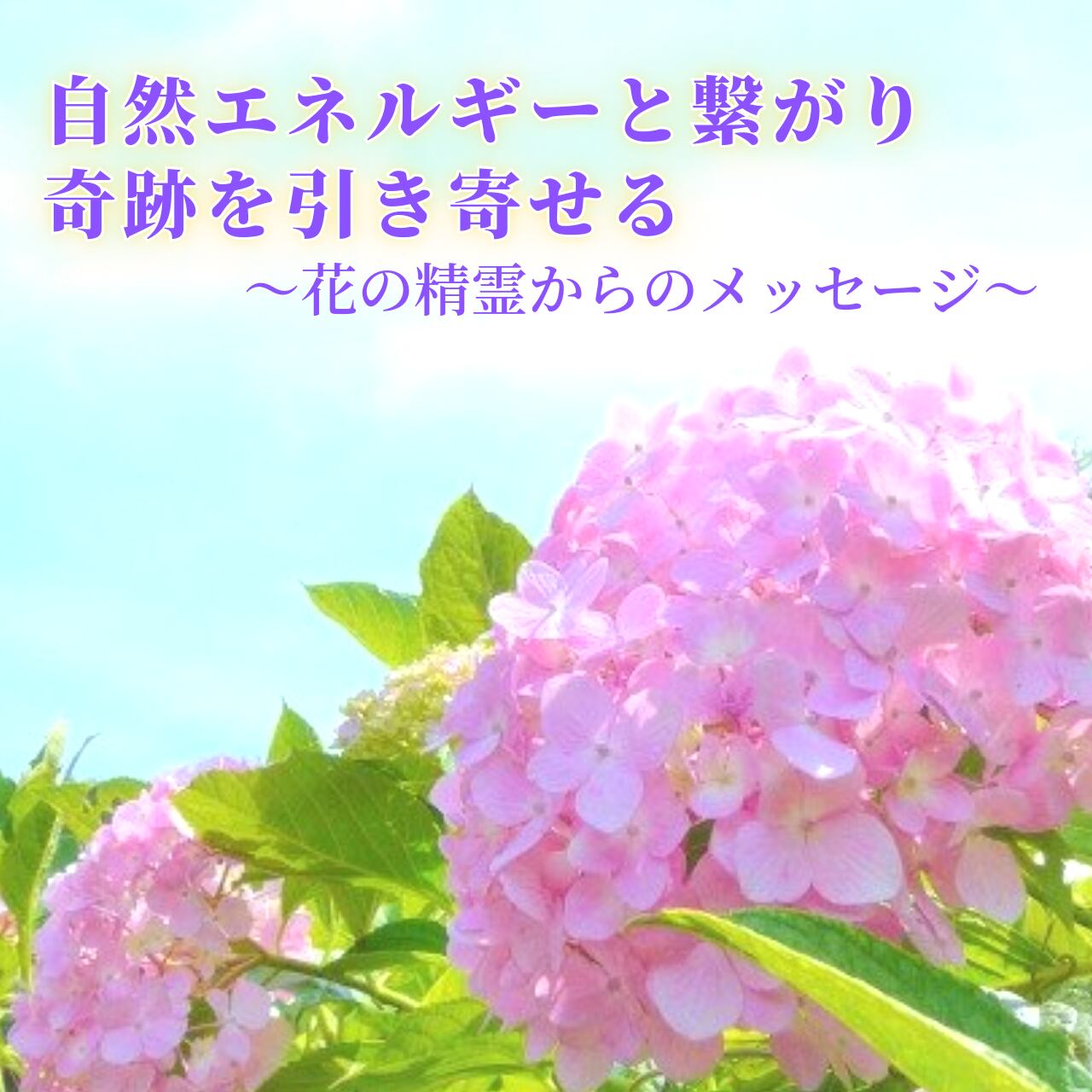6月限定 花の精霊からのメッセージ あまつかぜ公式