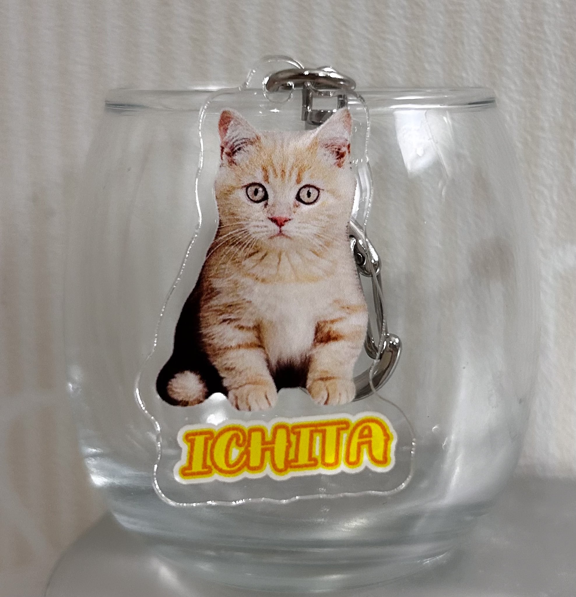 ねこカフェなる在籍猫スタッフオリジナルアクリルキーホルダー各種
