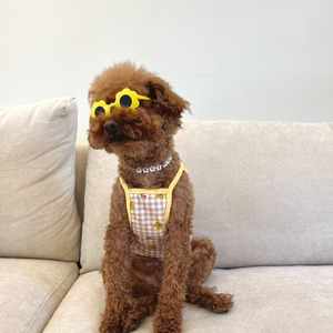 予約【pecoramou select】チェックベアーTシャツ