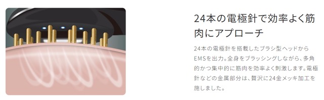 フェイスメイク プラズマエステブラシ | ERB株式会社