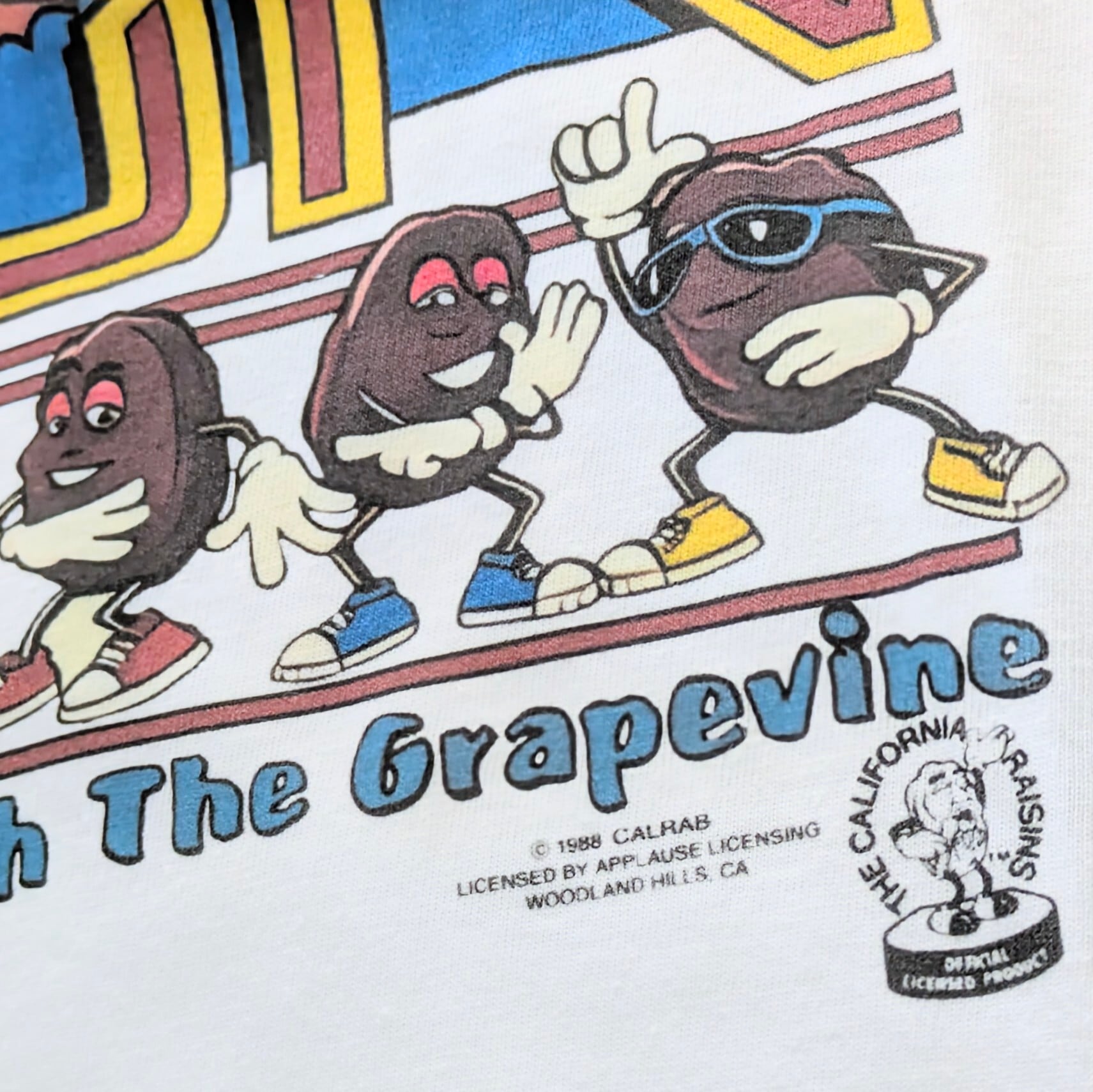 ♧【 California Raisins( カリフォルニアレーズン )】『 FUN IN THE SUN』/ Tシャツ〚アメリカン雑貨 アメトイ〛