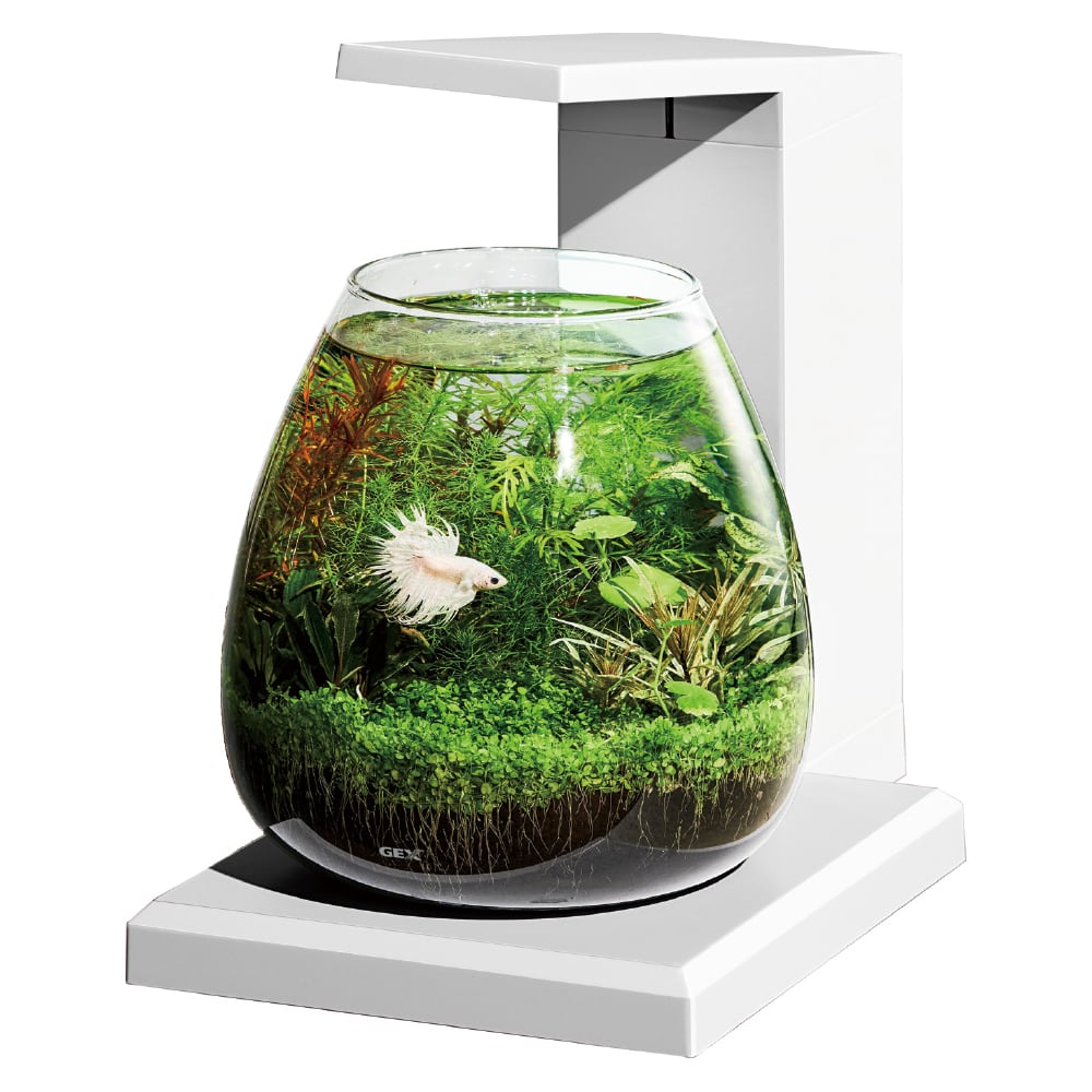 グラスアクア PERCO T-WH オールインワン水槽ペルコ