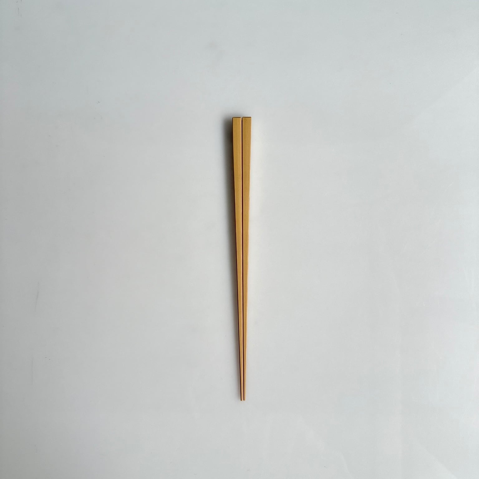 竹 | gallery 一白