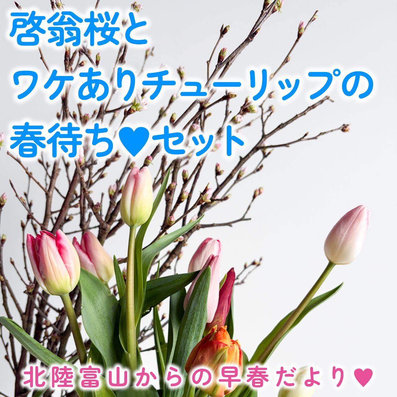 期間限定のお花 | 2020スマイルフラワープロジェクト