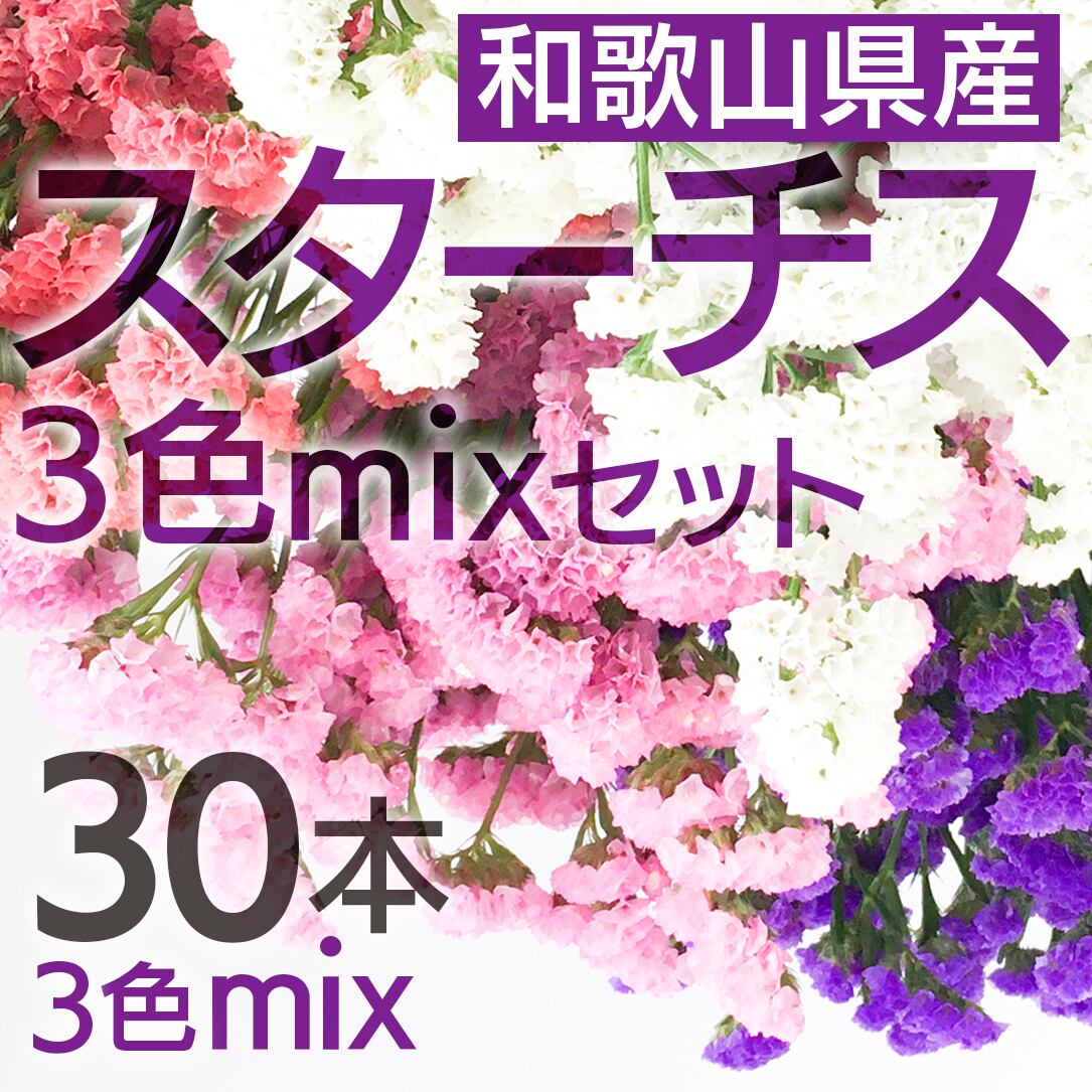 スターチス 30本 3色mix セット 和歌山産 スワッグやドライフラワーに フラワーロス救済 スマイルフラワープロジェクト
