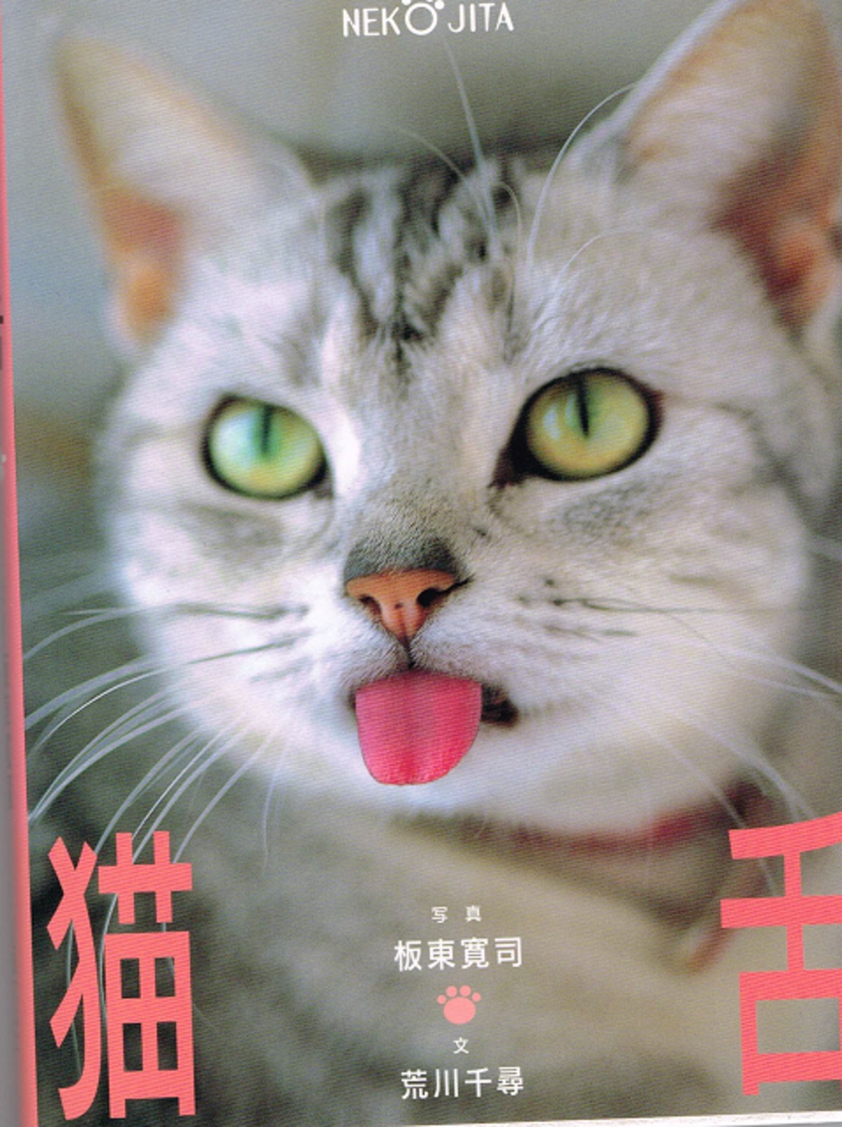 猫舌(単行本) | 猫本サロン 京都三条サクラヤ