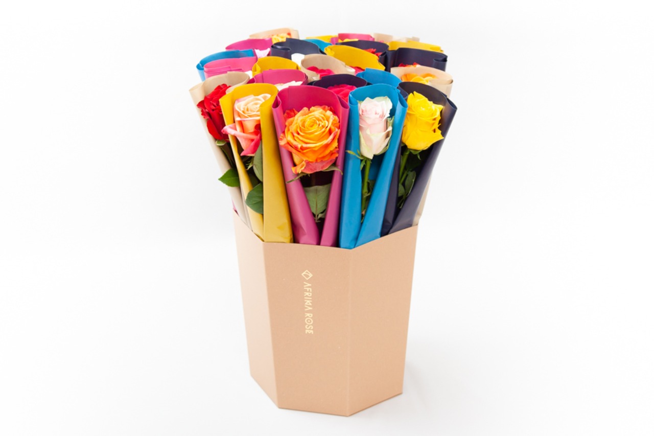 CELEBRATION ROSE【M】（24本）