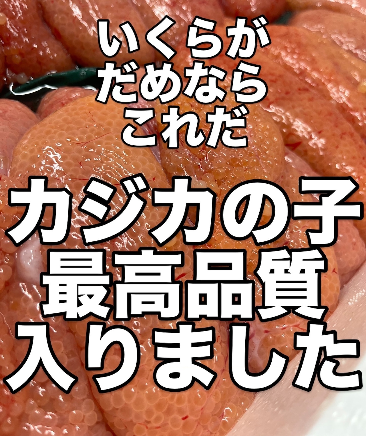 今が旬！北海道名物　かじかの子