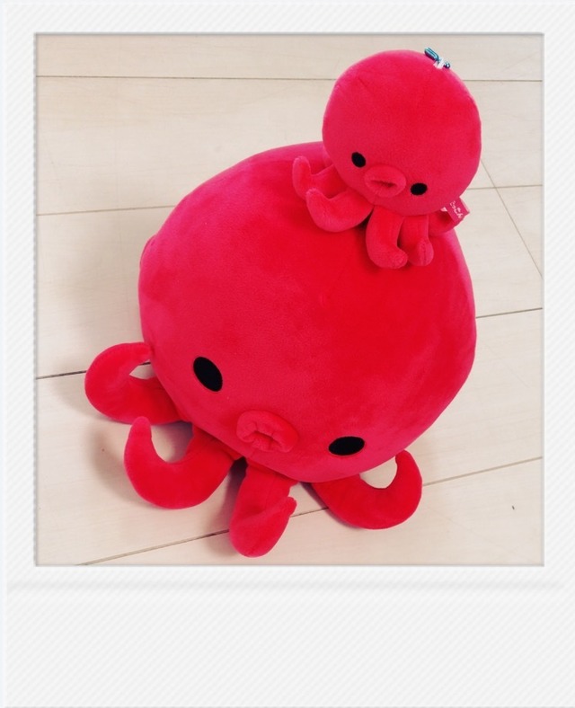 たっこん ぬいぐるみ親子セット たこのやレイズ たっこん ぬいぐるみ親子セット たこのやレイズ