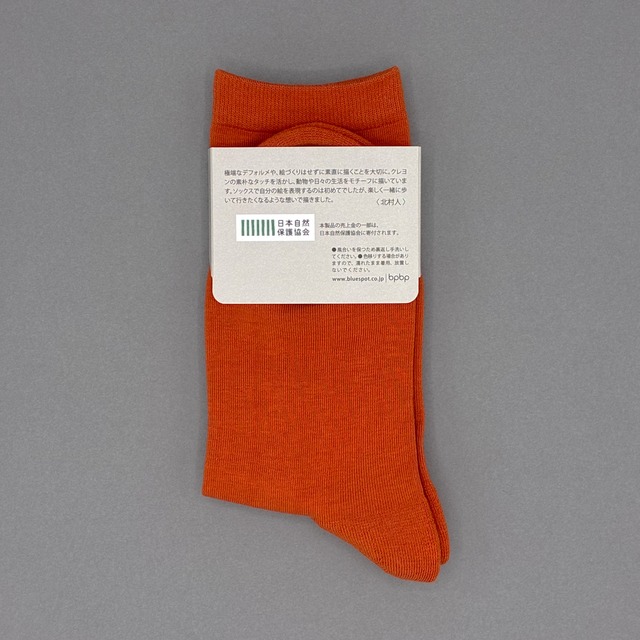 【JIN KITAMURA】北村人 SOCKS FEELINGS OF FLOWERS ソックス お花の気持ち