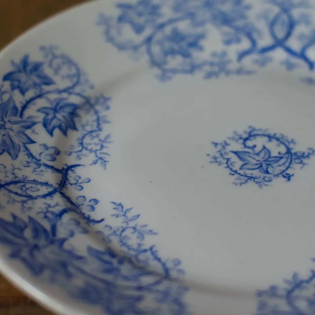 SARREGUEMINES Plate / サルグミンヌプレート 【C】〈フランス食器・皿