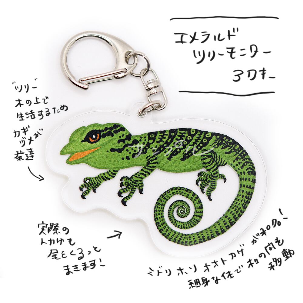 a875b8390890e3535e2ee992ba7554