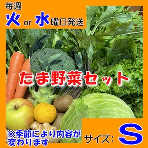 定期便【たま野菜セット　Sサイズ】毎週火～水曜日発送【送料無料(クール便)】