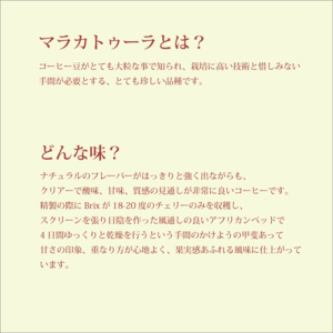 【送料無料】ニカラグア 500ｇまとめ買い 10％OFF