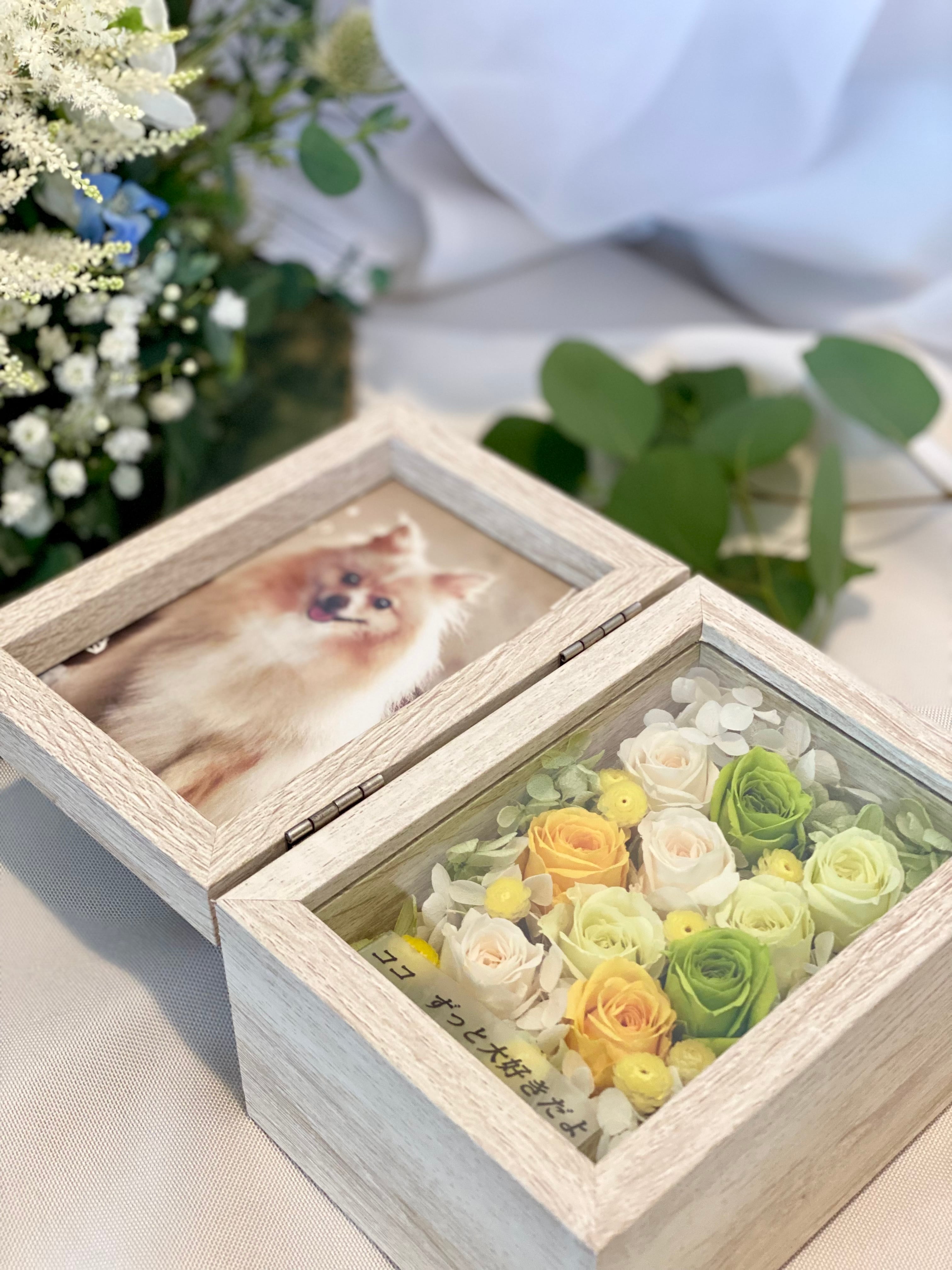 a885cb3e7d9f1419ca2960d9aa76b6