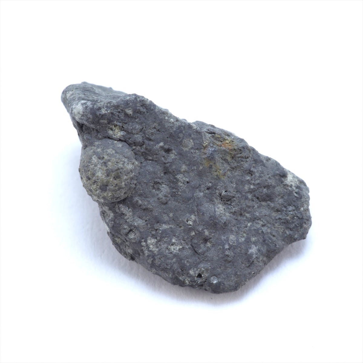 a88619a46d7f3dc10c954e8e9b2b82