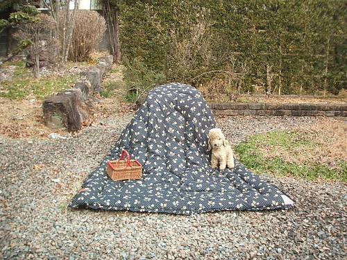 english vintage flower eiderdown quilt bedspread black  イギリス　ヴィンテージ　ダブルサイズ　アイダーダウン　ローズ柄　黒