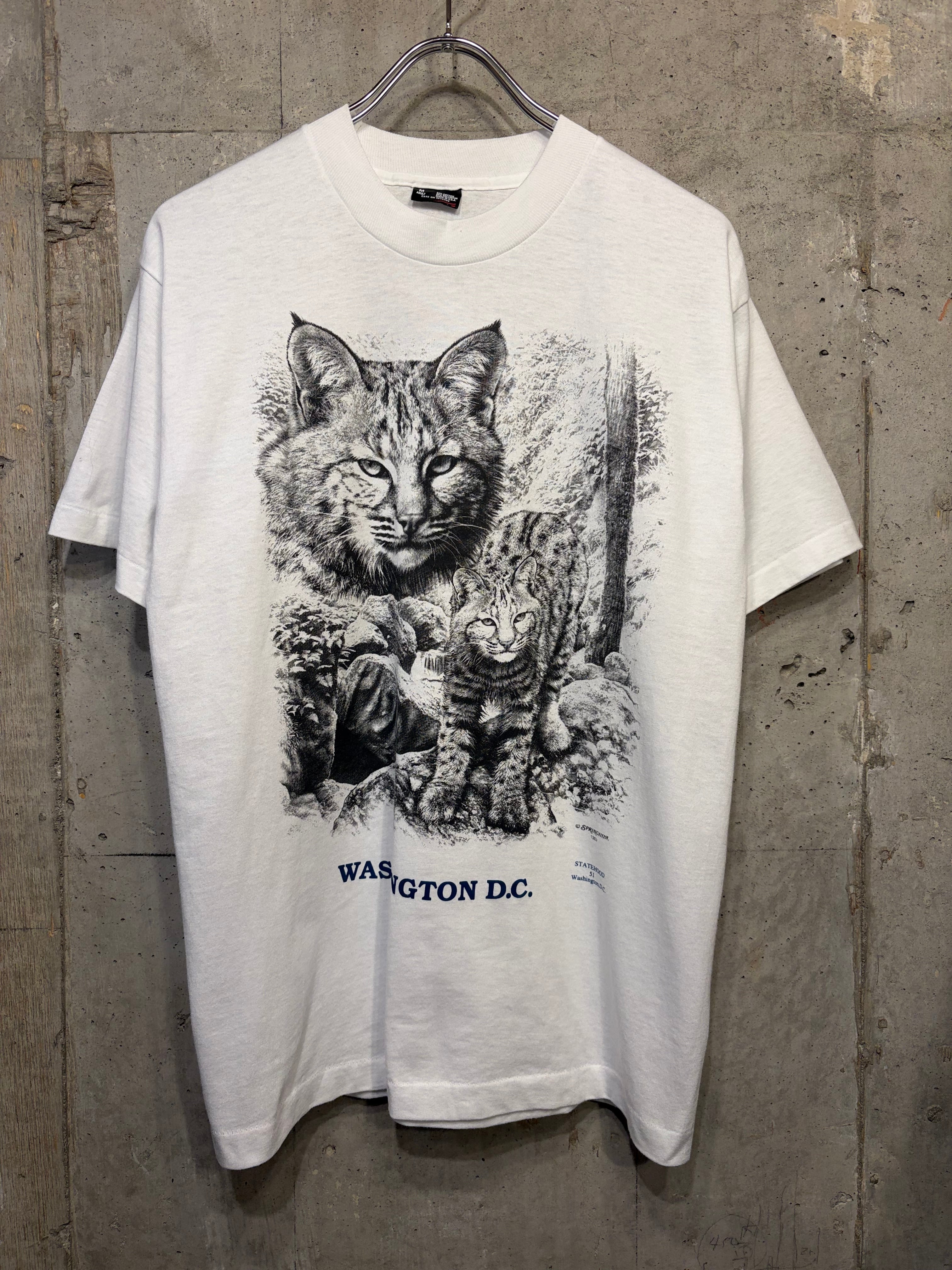 猫/アニマル | Small Cat