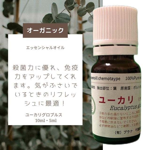 ユーカリグロブルス（10ml）