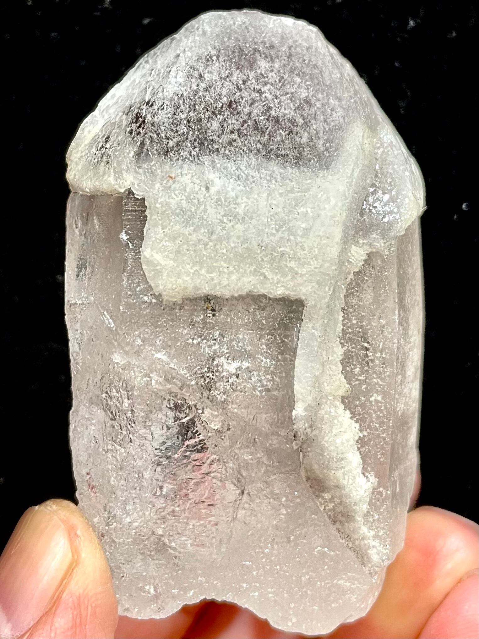 5) レムリアン・シード「ドリーム・シクル」大型