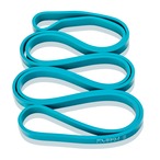 新春セール：FLEXU Fitters プロのプルアップアシスタンスバンド 3本セット