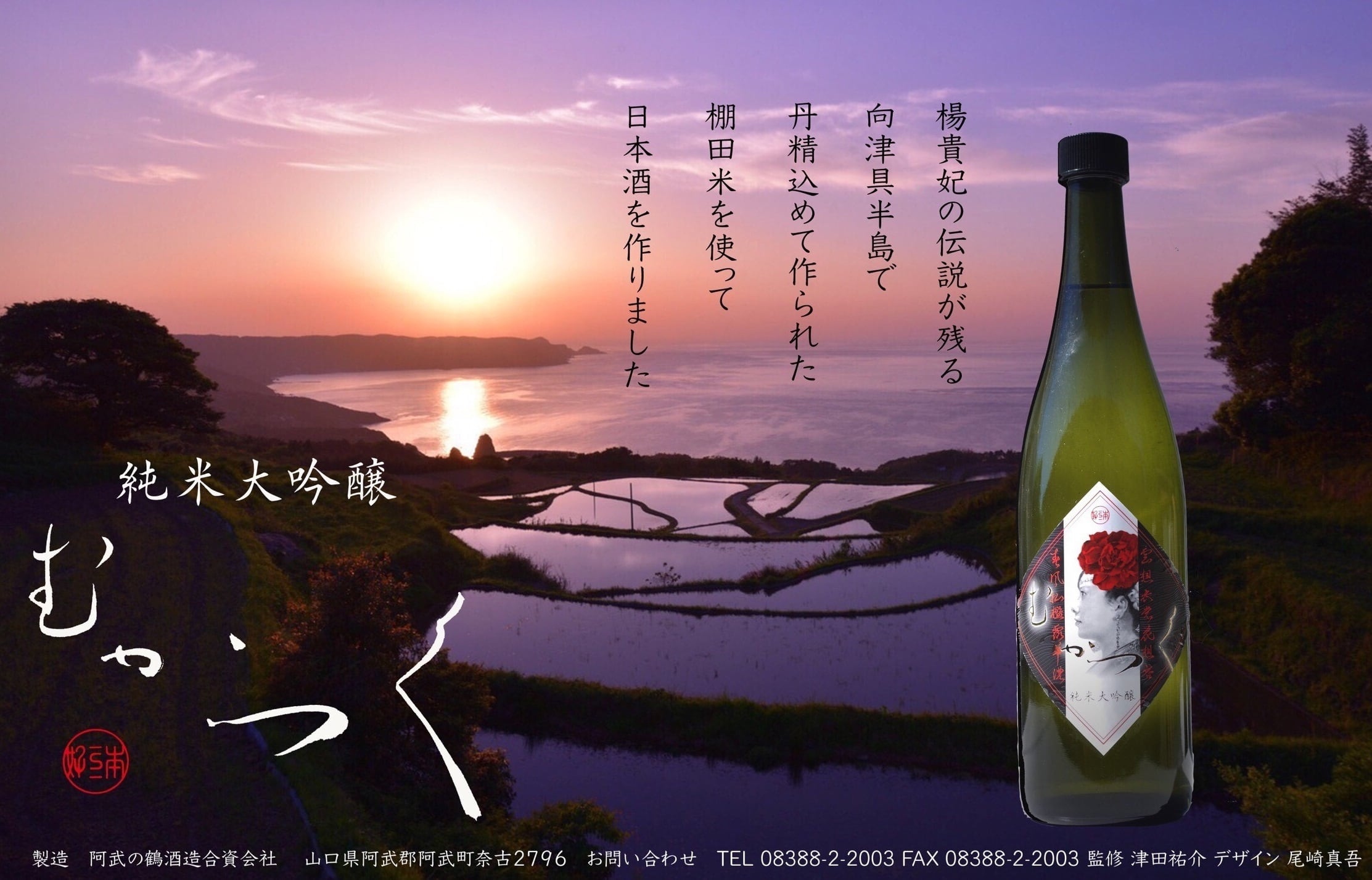 高品質の激安 渇いた太陽 特別版 頂け '62米 白米・胚芽米