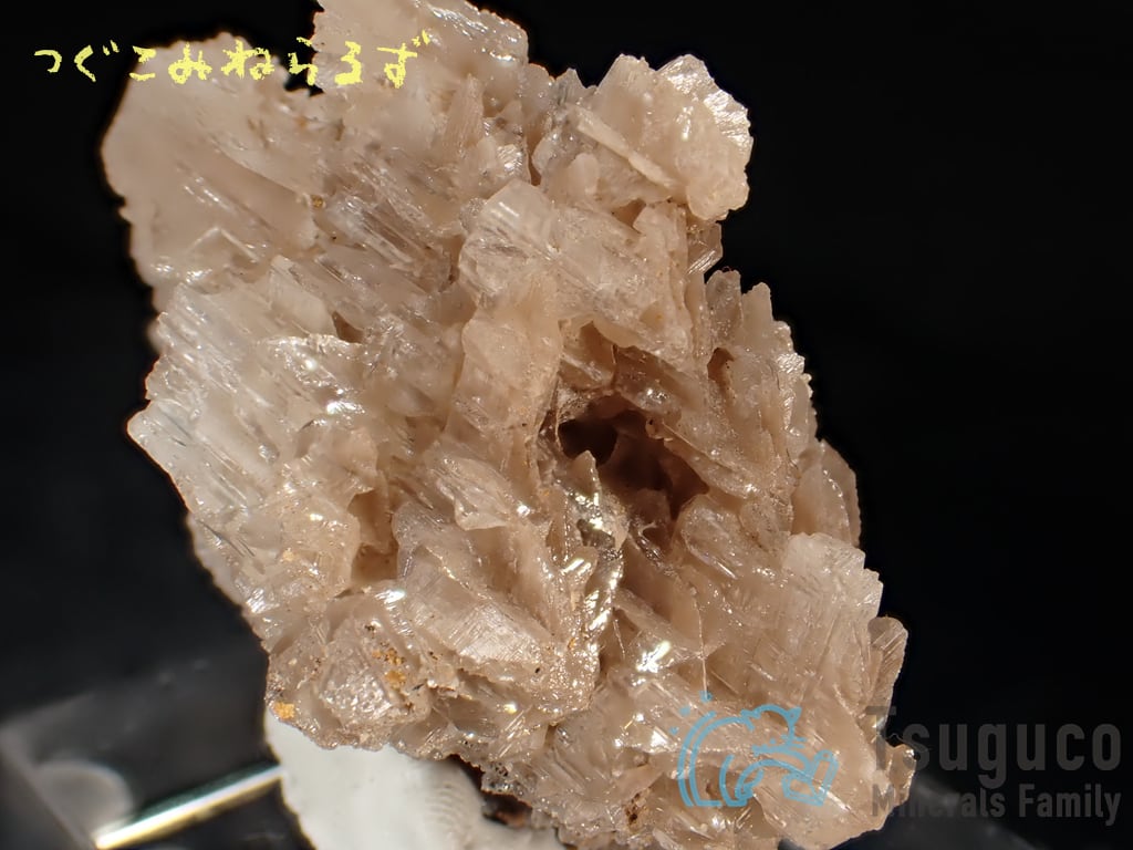 セルサイト 白鉛鉱 Cerussite イラン TM-0040