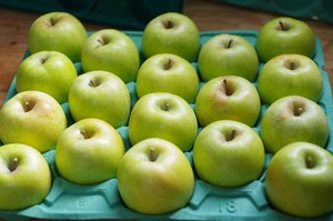 王林 １０ｋｇ家庭用