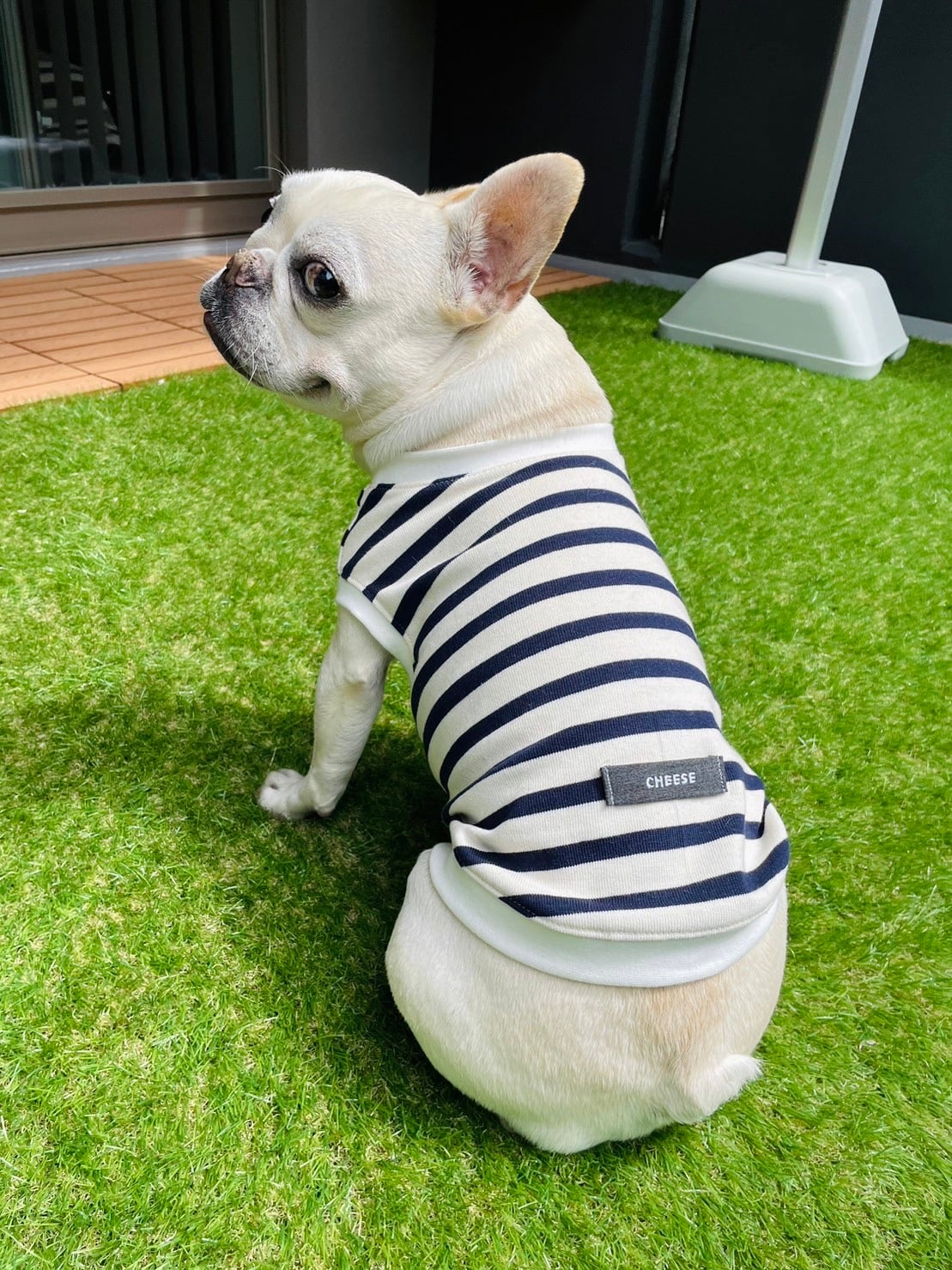 うちの子ネームタグ付きタンクトップ*生成り×ネイビー* | 犬服 うちの子ネームタグ付きタンクトップ*生成り×ネイビー* | 犬服