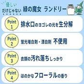 ミマスクリーンケア 【大容量】 緑の魔女ランドリー(洗濯用洗剤) 5L 業務用