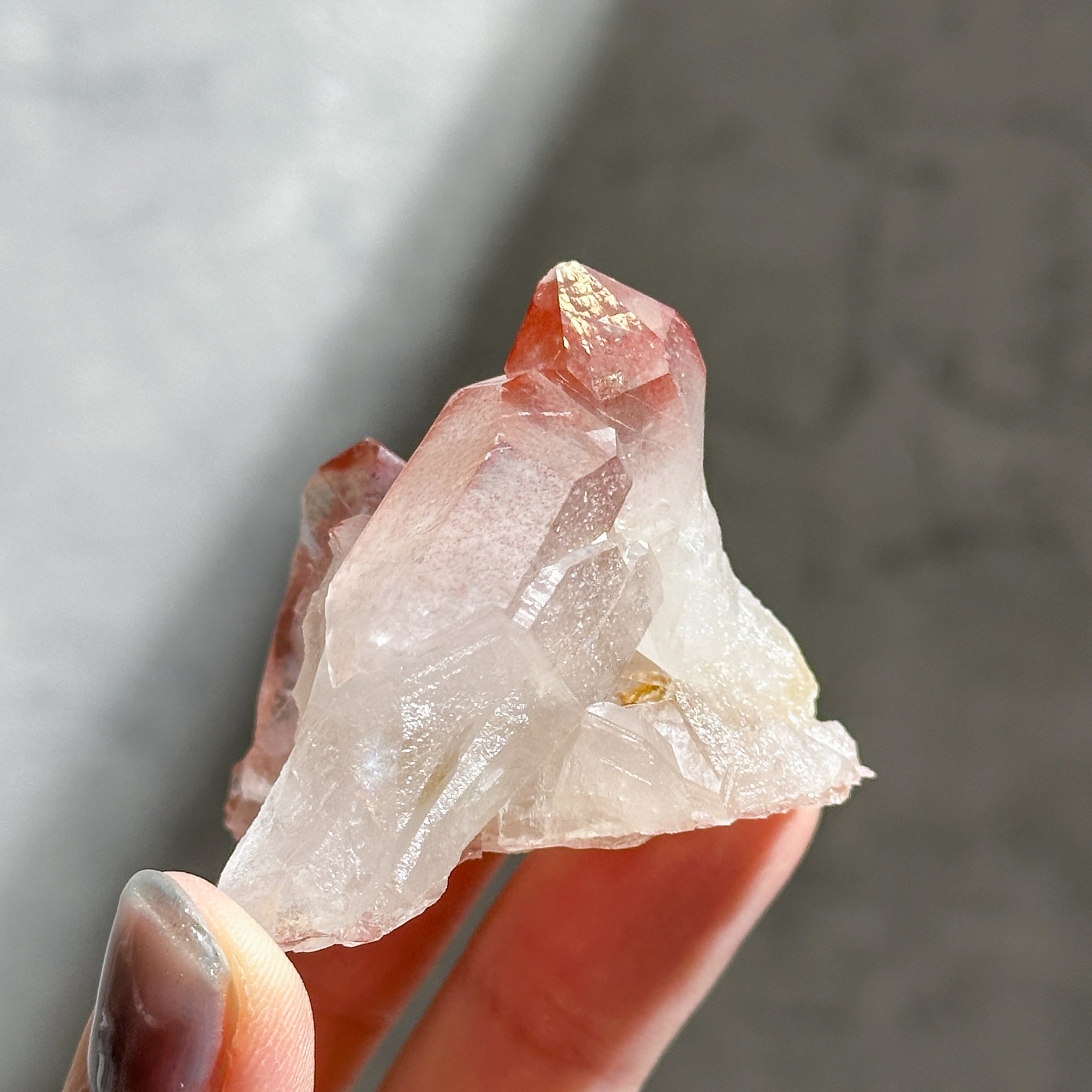 レコードキーパー有り◎ディアマンティーナ産ピンクレムリアン