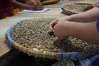 【インドネシア】マンデリンビンタンリマ ［600g］極深煎り 自家焙煎珈琲