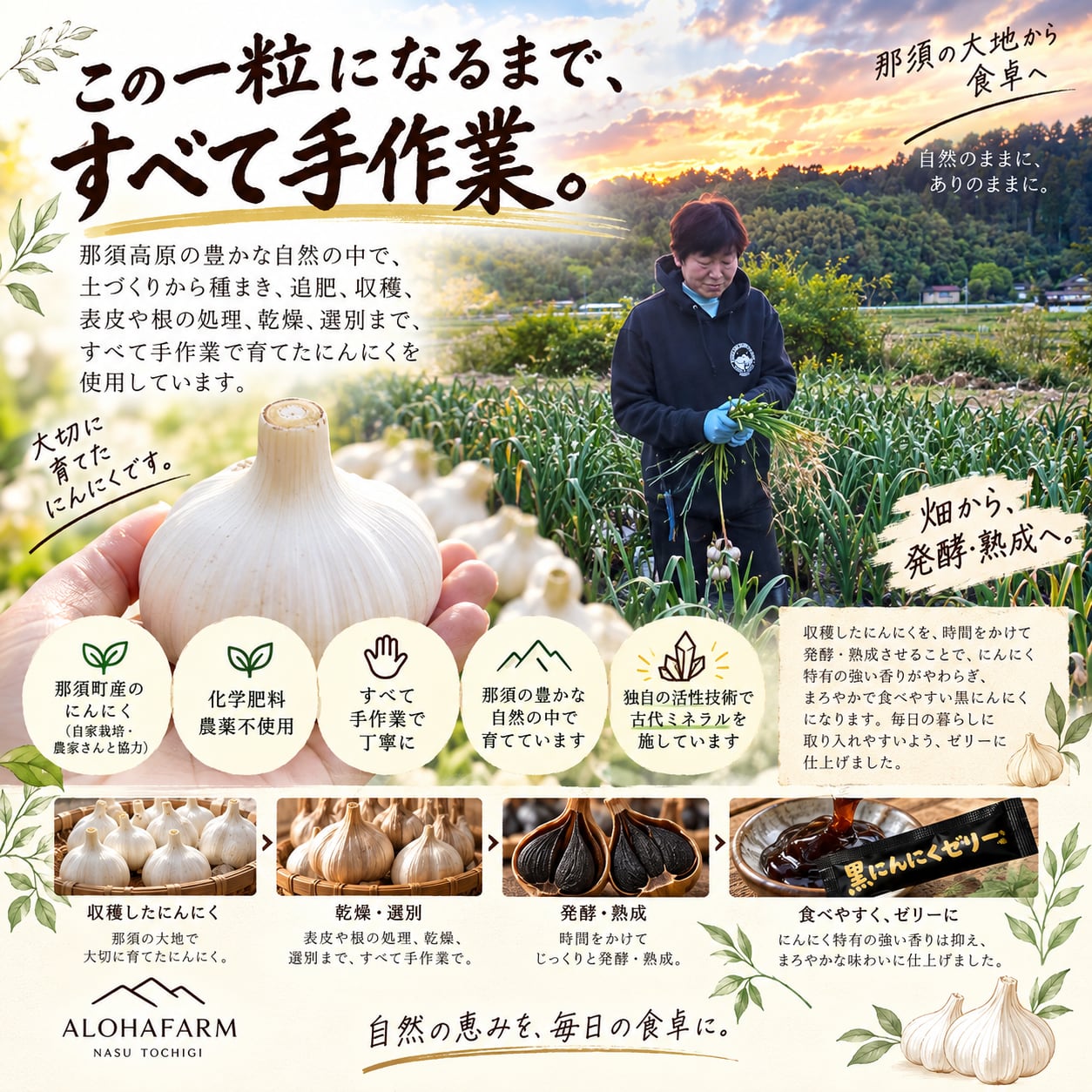 那須町産 アミノ酸 抗酸化 黒にんにく 30日分 【黒のススメ！醗酵