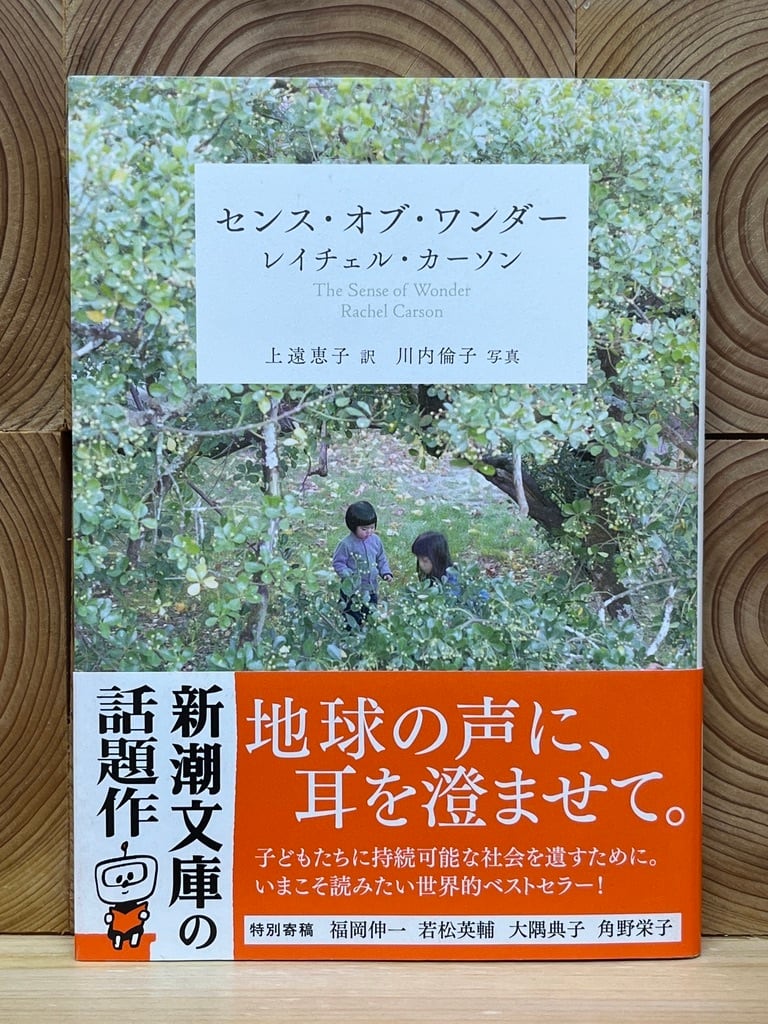 センスオブワンダー　3点　セット　になります。