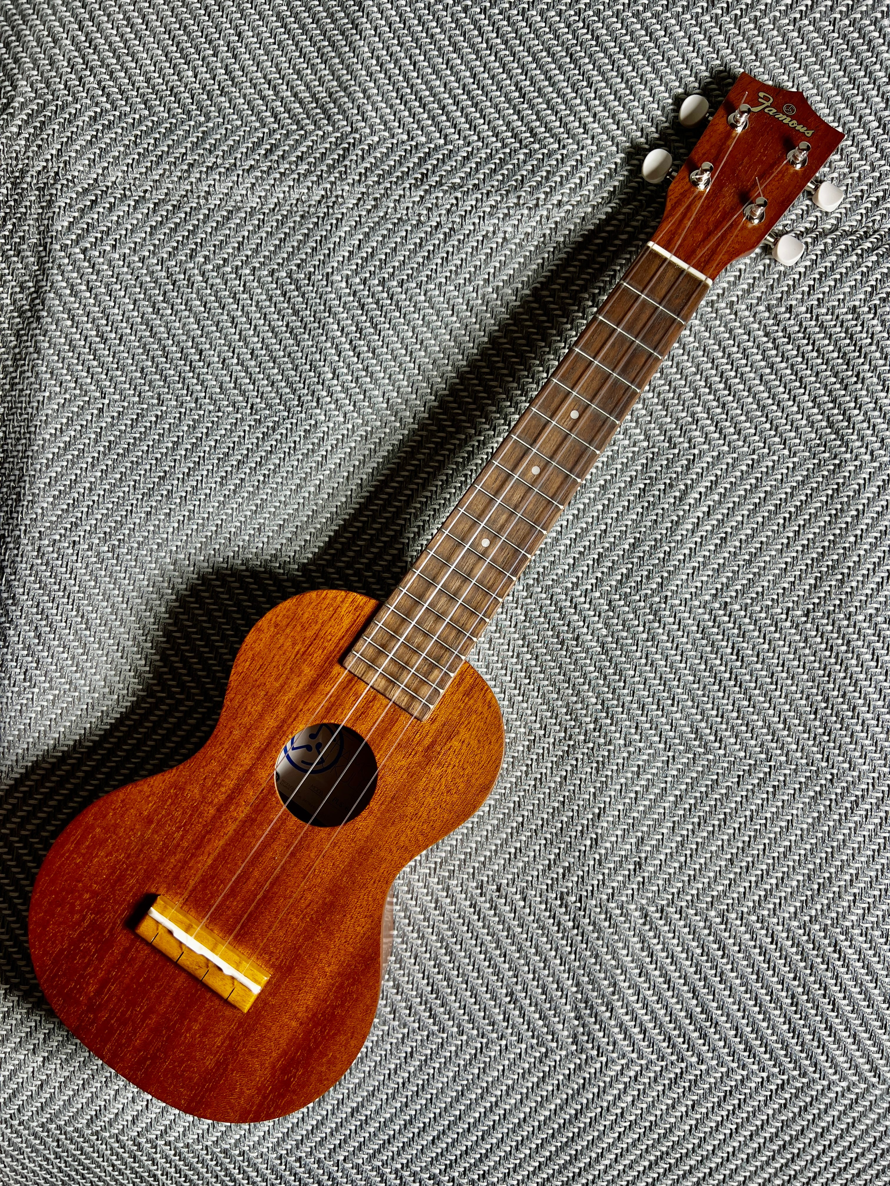 Famous FLS-60 ソプラノロングネック ※2025年5月入荷 | イコレレ